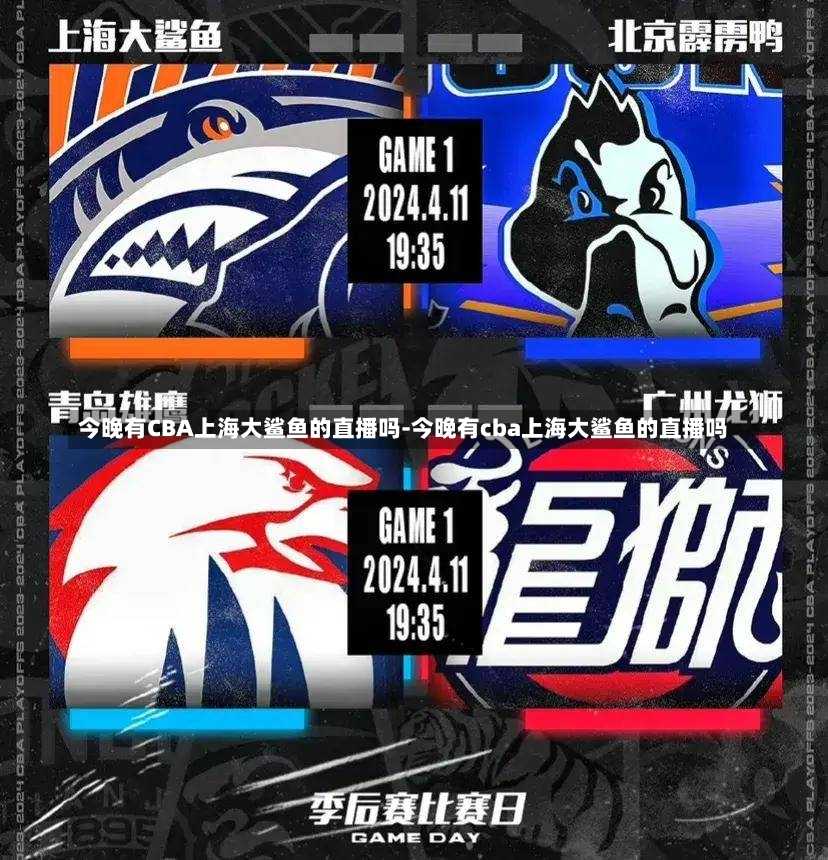 团队的整体